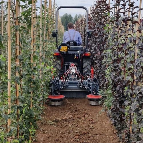 Mechanical weeder - WEEDELETE&reg; RS - Van Tuijl Innovations - tractor-mounted / rotary / inter-row