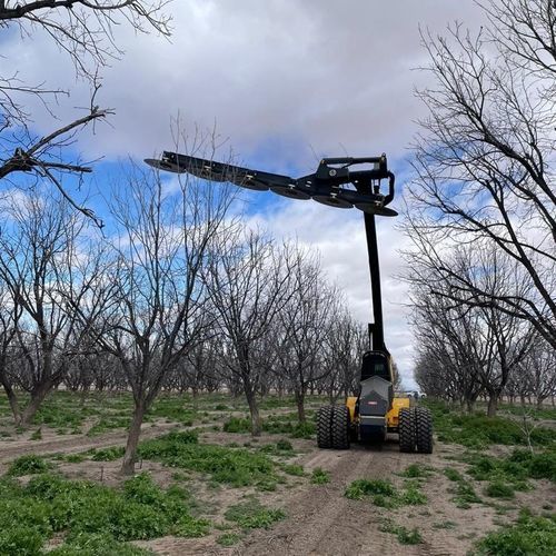 Orchard pruning machine - TH-2000-F T4 - Afron Machinery Ltd. - pecan tree / mounted / self-propelled
