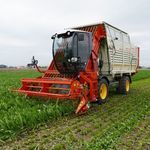 vegetable harvesting machine