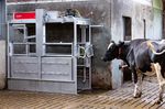 foot bath for livestock buildings