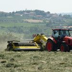 belt rake