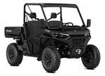 2WD side-by-side vehicle