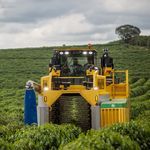 coffee harvester machine