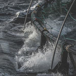 floating fish cage