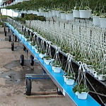 belt conveyor