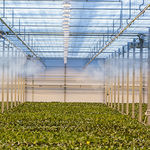 greenhouse misting system