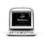 portable veterinary ultrasound system