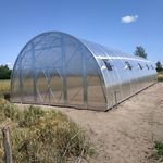 tunnel type greenhouse