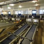 automatic egg printing machine