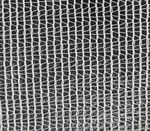 insect netting