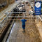 livestock partitionSpinder TrackSpinder Dairy Housing Concepts