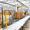 palletizer with trayVisser Horti Systems