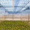 greenhouse misting systemMJ-Tech B.V.