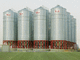 grain silo / for animal feed / steel / hopper