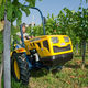 narrow tractor / mechanical transmission / vineyard / 2-cylinder