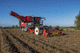 potato harvester machine / self-propelled / 4-row / with sieving systems