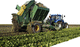 beet harvester machine / towed / 2-row / 3-row