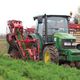 carrot harvester machine / tractor-mounted / 1-row
