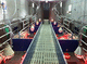 plastic floor mat / stainless steel / for pig breeding / hygienic