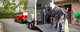 horse stock trailer / tandem axle