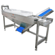 chicks conveyor / belt / roller