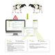 livestock monitoring system / health / body temperature / wireless