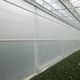 shade screen system / wind protection / climate-control / for greenhouses