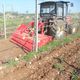 mounted mulcher / hammer / forestry / for orchards