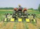 mounted row crop cultivator / weeding