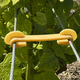 vineyard staple / biodegradable