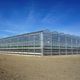 venlo greenhouse / ornamentals production / commercial production / glass