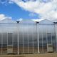 venlo greenhouse / multi span / commercial production / glass