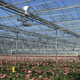 greenhouse Coating / anti-reflection / increase light transmission / transparant
