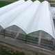 greenhouse covering film / polyethylene / UV protection