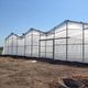 venlo greenhouse / commercial production / plastic