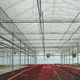 shade curtain / for greenhouses