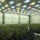 plant growth chamber