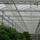 shade screen system / energy / for greenhouses / fixed