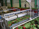 fruit washing system / automatic