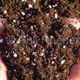 potting soil growing medium / perlite / loose / porous