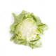 spring lettuce seed