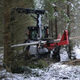 circular saw firewood processor / PTO-driven