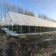 monotunnel greenhouse / commercial production / plastic