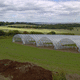 multi span greenhouse / commercial production / plastic / permanent