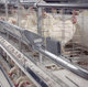 broiler rearing cage with manure removal system / with egg belts / galvanized