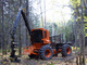 forestry forwarder