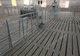slatted floor farrowing stall