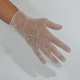 veterinary gloves / vinyl / disposable
