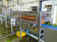 vegetable processing line