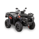 4x4 quad bike / gasoline engine / utility